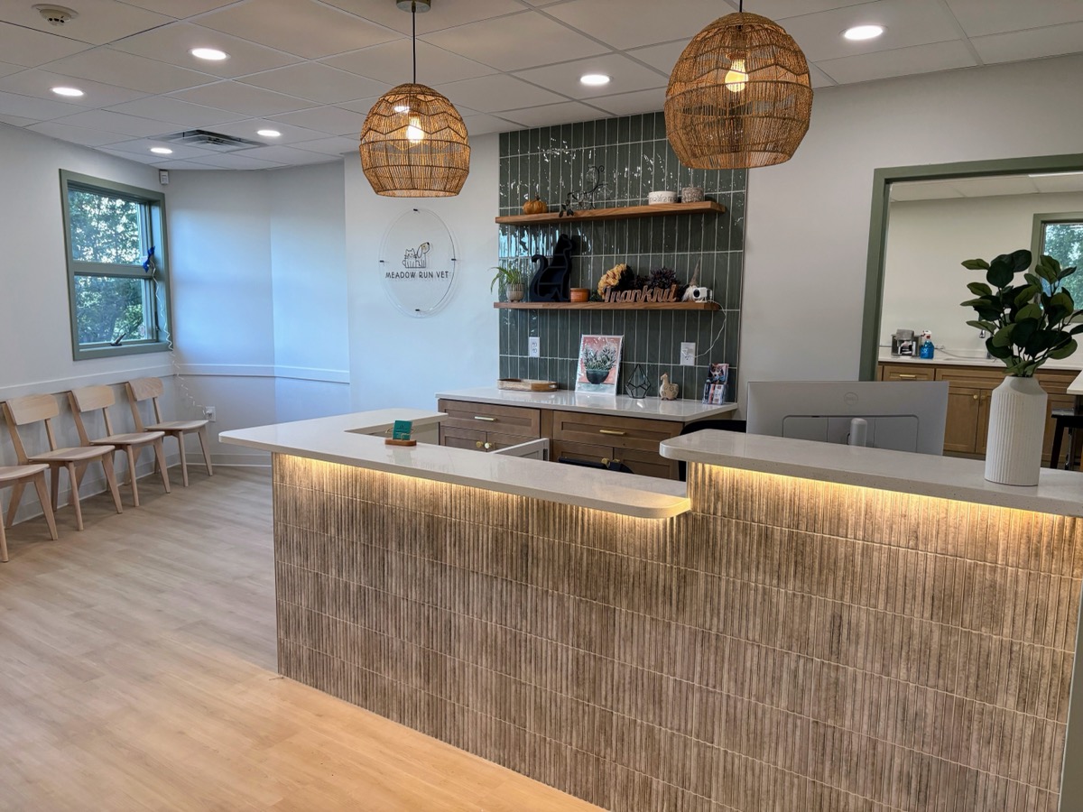 Veterinary Hospital Reception